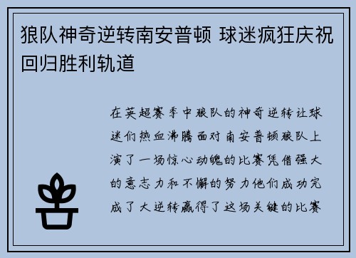 狼队神奇逆转南安普顿 球迷疯狂庆祝回归胜利轨道